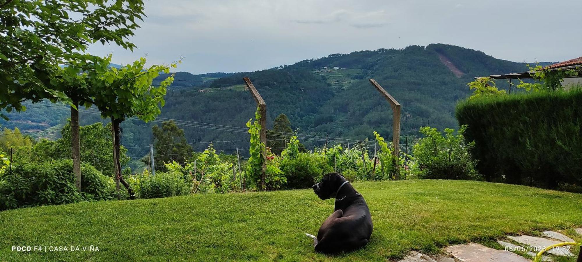 Willa Casa Da Vina - Ribeira Sacra Nogueira De Ramuin Zewnętrze zdjęcie