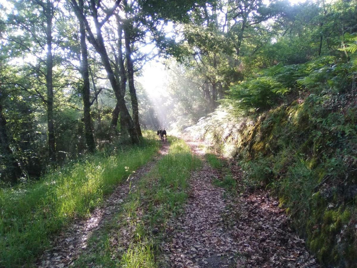 Willa Casa Da Vina - Ribeira Sacra Nogueira De Ramuin Zewnętrze zdjęcie