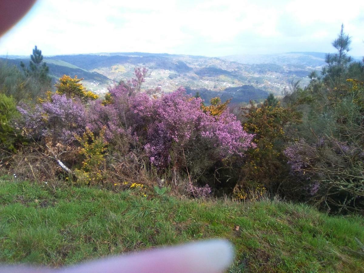 Willa Casa Da Vina - Ribeira Sacra Nogueira De Ramuin Zewnętrze zdjęcie
