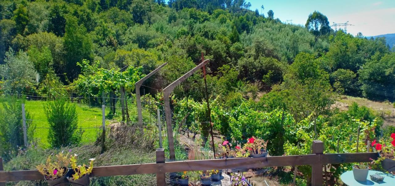 Willa Casa Da Vina - Ribeira Sacra Nogueira De Ramuin Zewnętrze zdjęcie